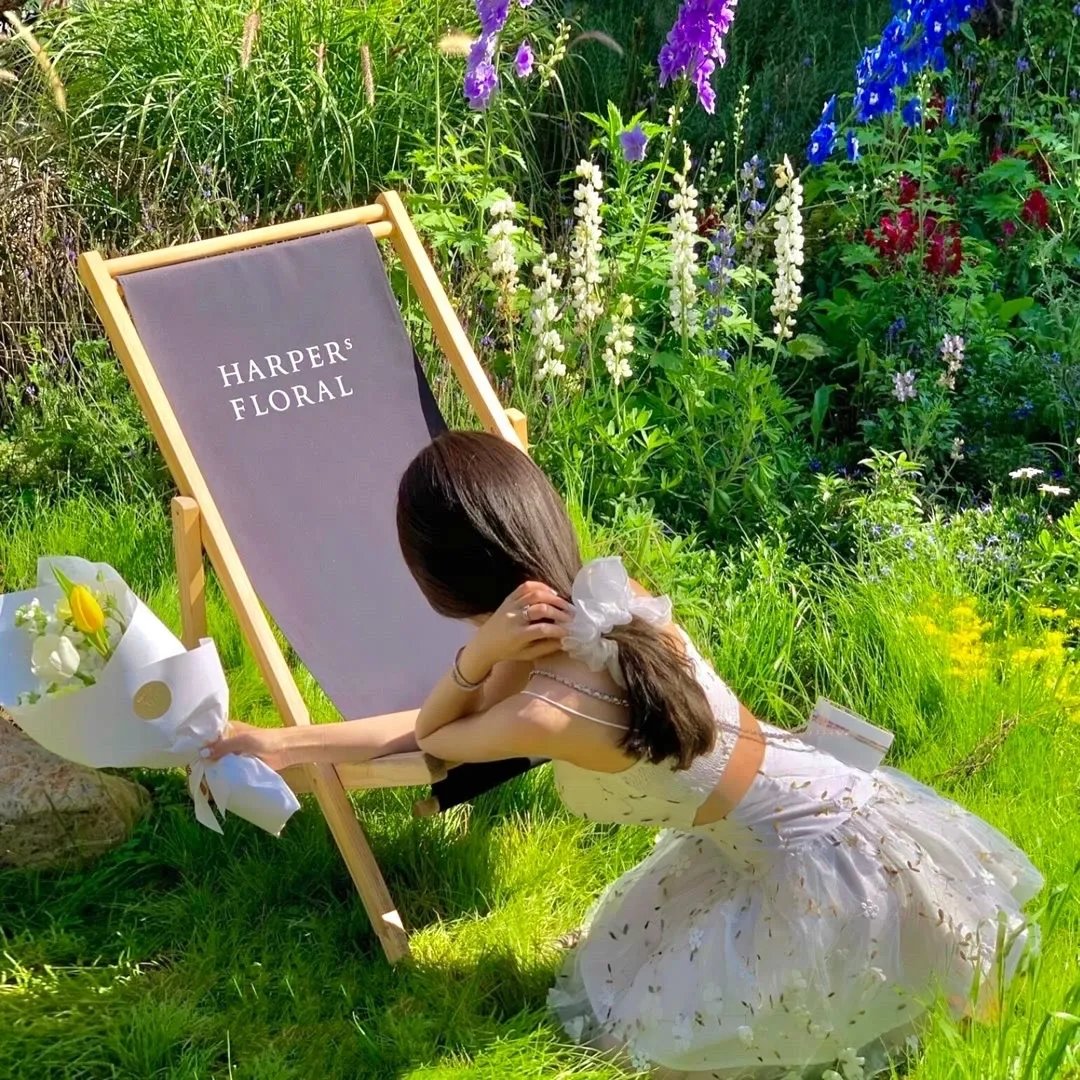 醉枕江山2之无敌六皇子